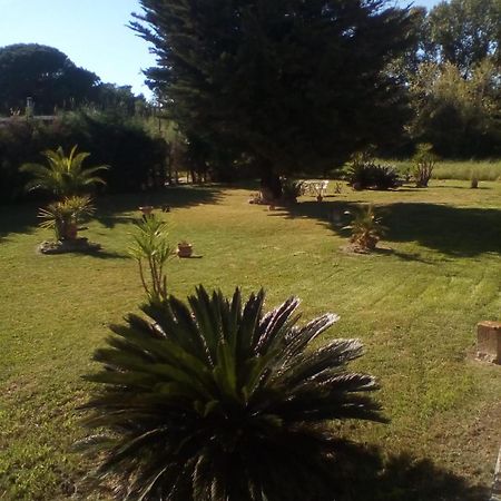 Bed and Breakfast Mamena Paestum Esterno foto