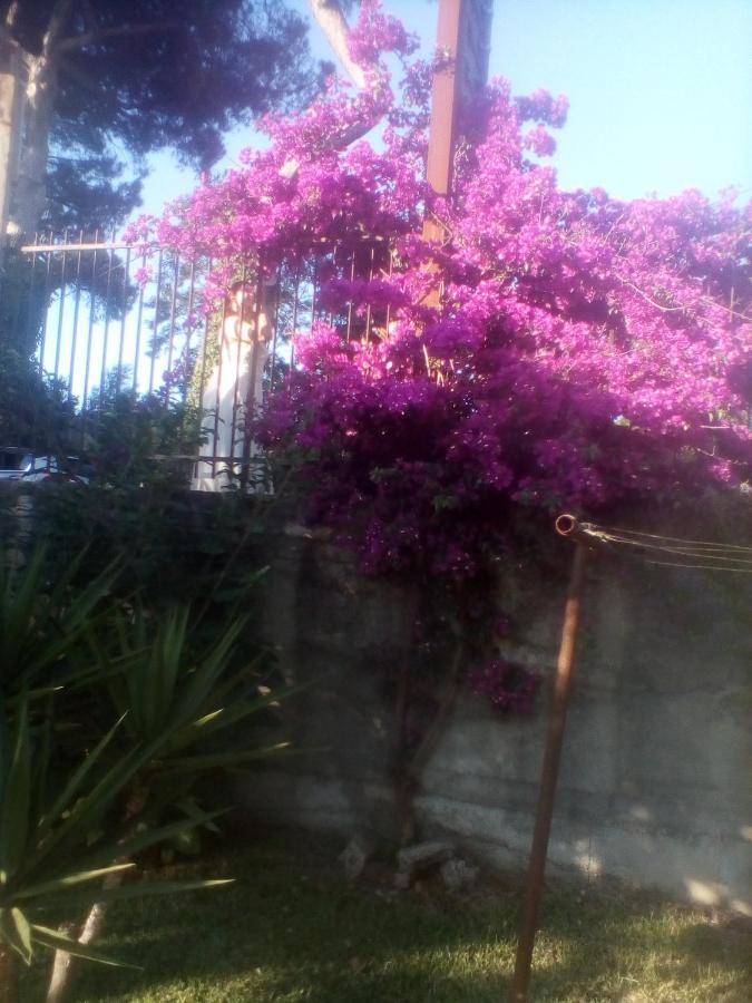 Bed and Breakfast Mamena Paestum Esterno foto