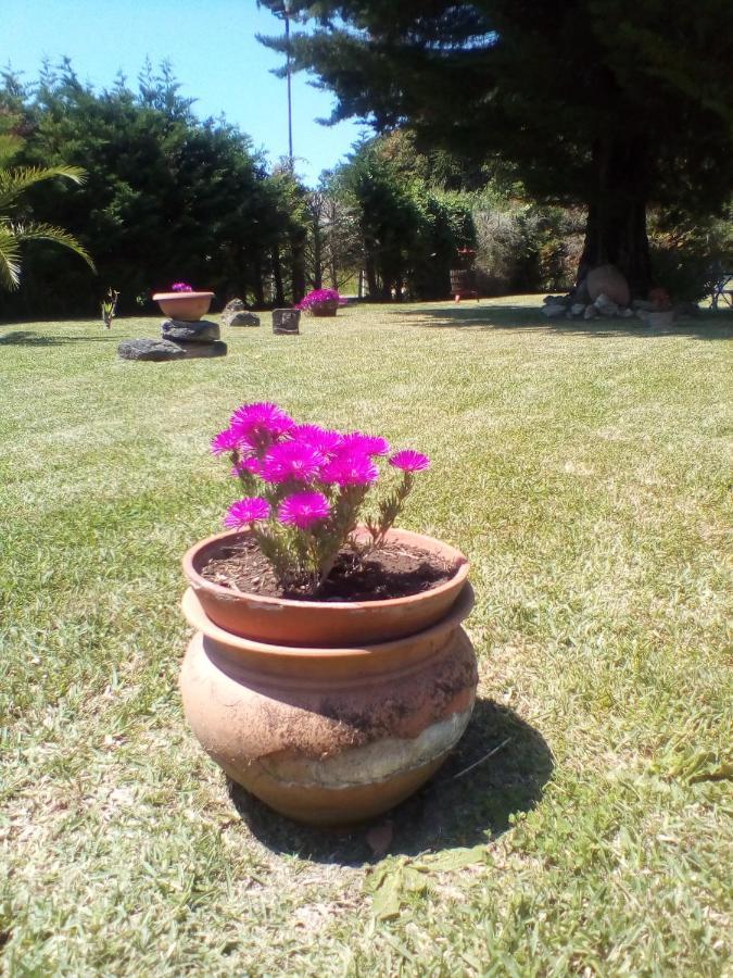 Bed and Breakfast Mamena Paestum Esterno foto