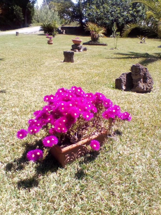 Bed and Breakfast Mamena Paestum Esterno foto