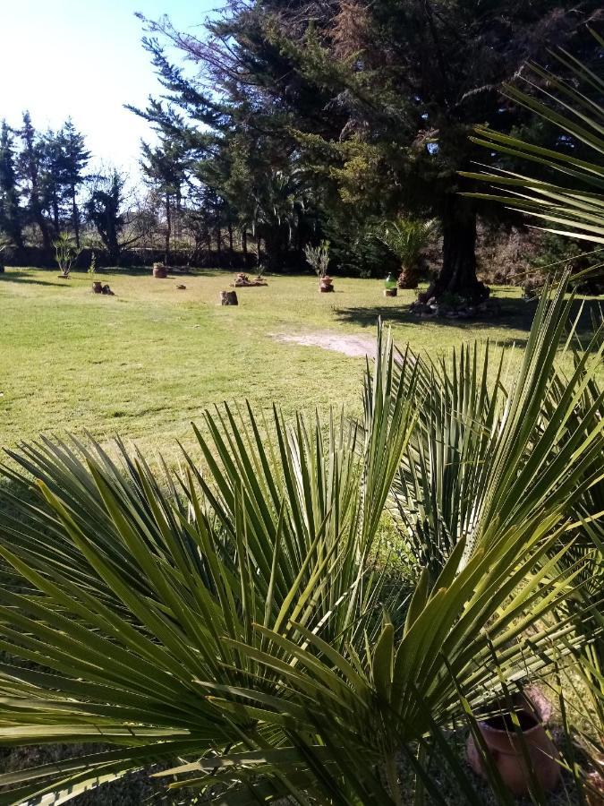 Bed and Breakfast Mamena Paestum Esterno foto