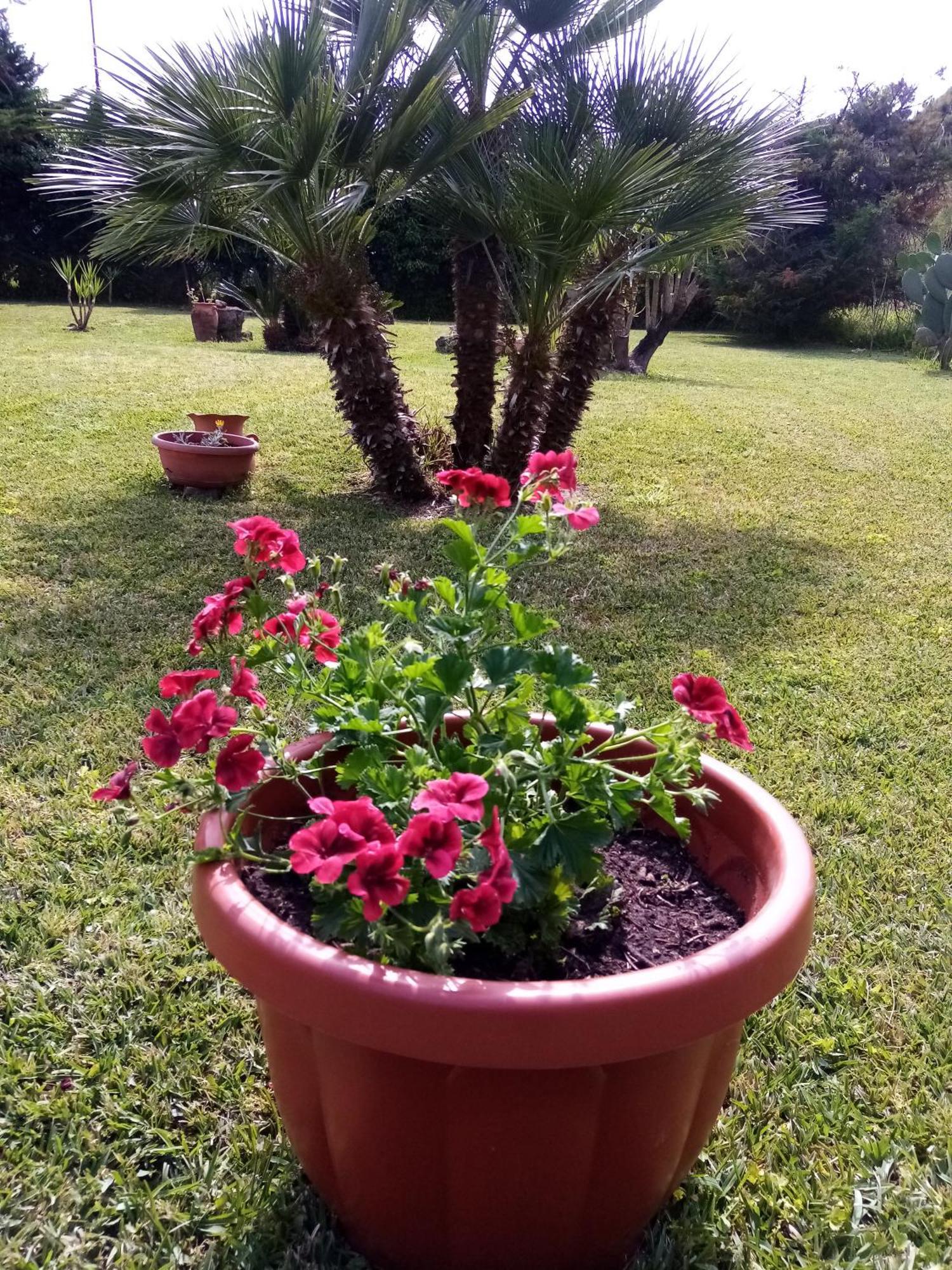 Bed and Breakfast Mamena Paestum Esterno foto